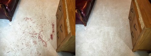 Blood marks removed by carpet cleaners in Cowbridge