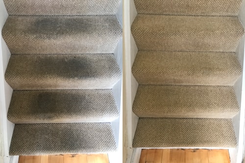 Stairs carpet cleaning in Cowbridge